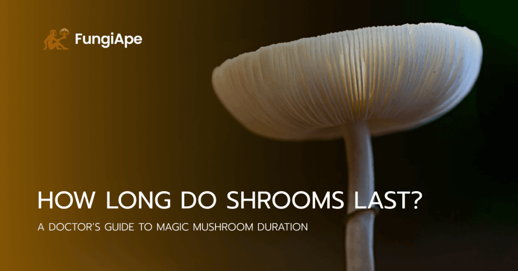 How Long Do Shrooms Last?