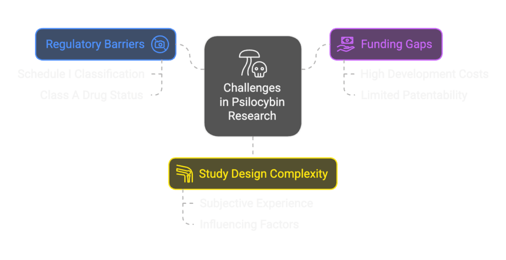 Challenges in Psilocybin Research, Psilocybin Pain Management