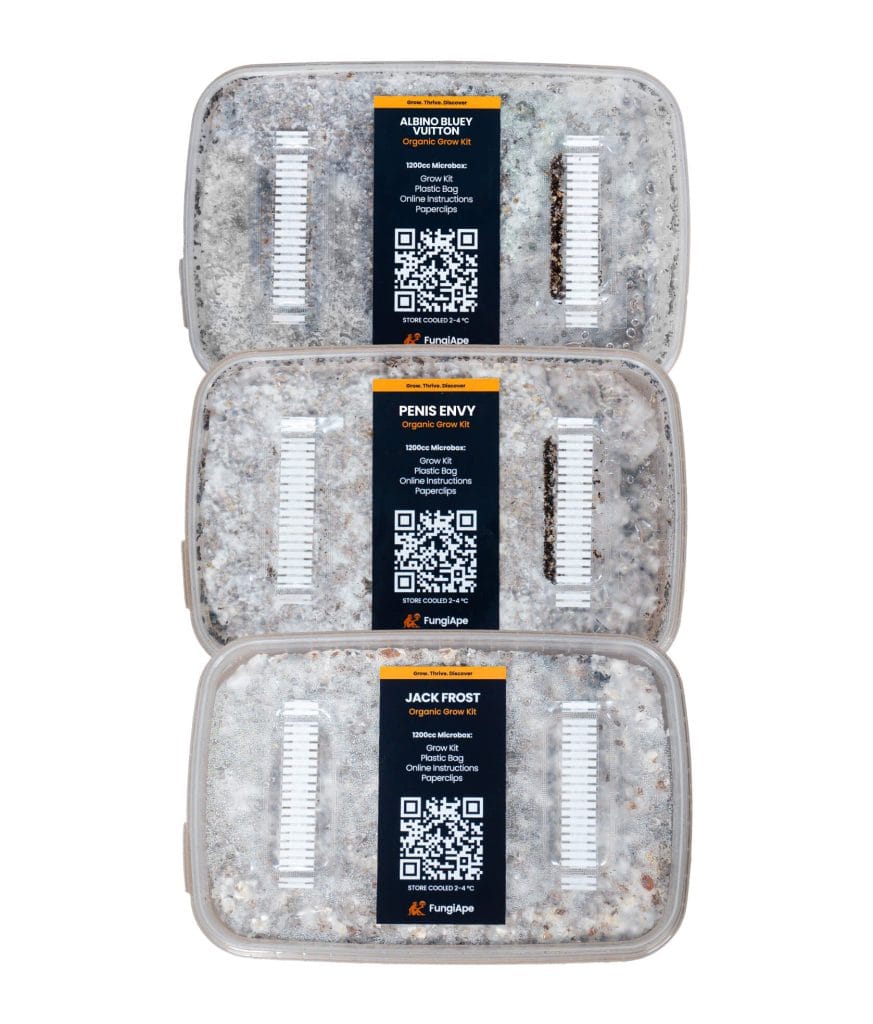 Advanced Bundle - FungiApe