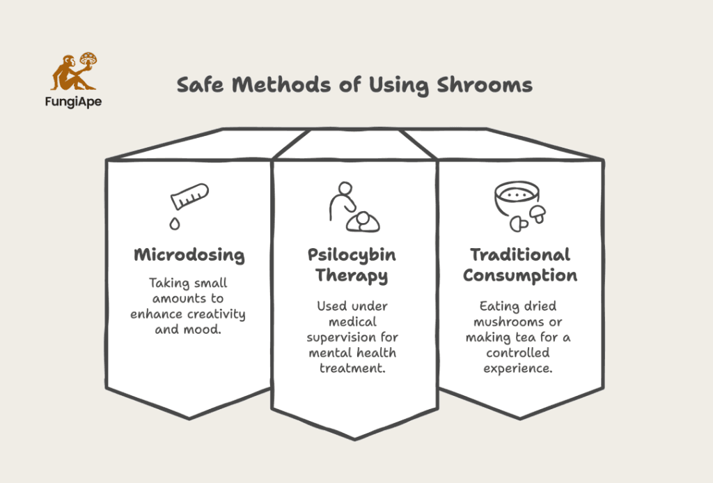 Alternative and Safe Methods of Using Shrooms
