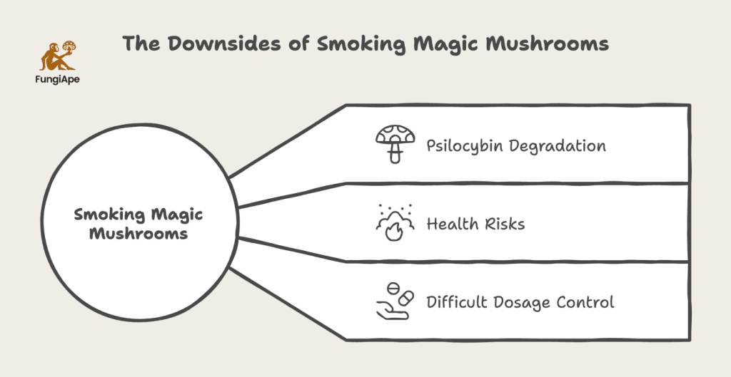 The Downsides of Smoking Magic Mushrooms