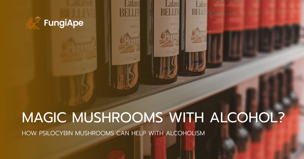 Can you consume magic mushrooms with Alcohol?