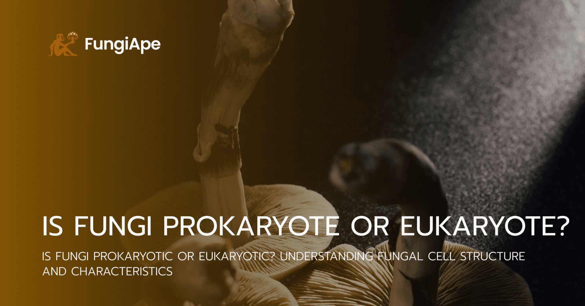 Is Fungi Prokaryote or Eukaryote? - Fungi Ape