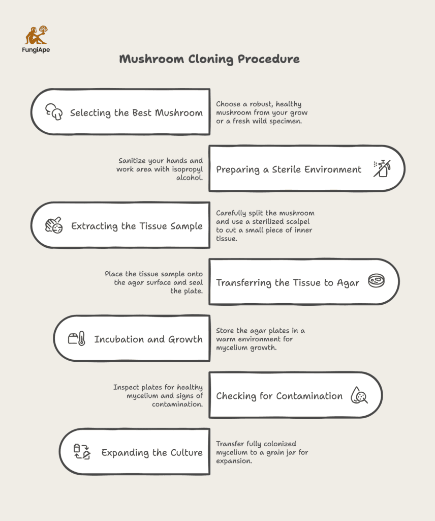 Mushroom Cloning Procedure