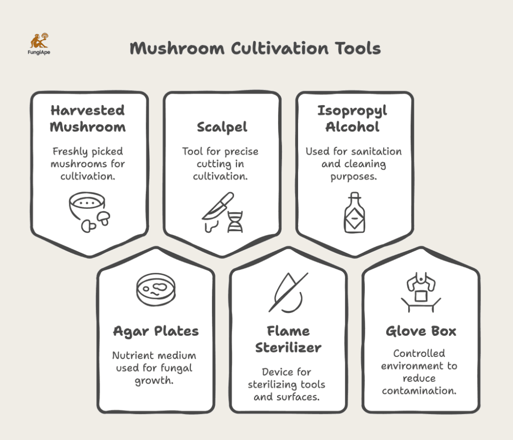 Mushroom Cultivation Tools