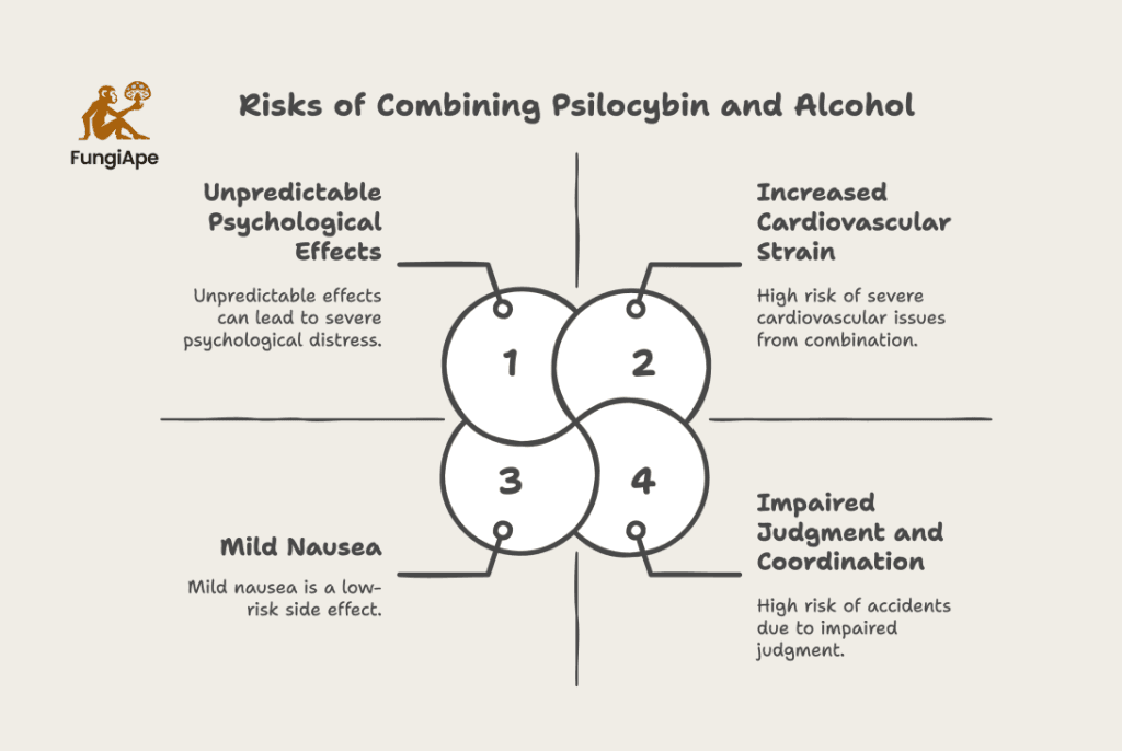 Risks of Combining Psilocybin and Alcohol